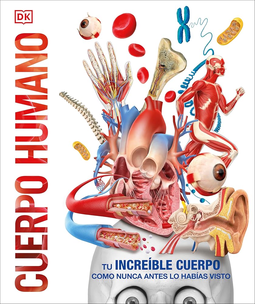 Cuerpo humano (Knowledge Encyclopedia Human Body!) (DK Knowledge Encyclopedias) (Spanish Edition) cover image