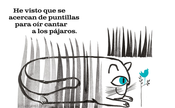 ¿Qué saben hacer los gatos?