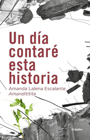 Un día contaré esta historia cover image