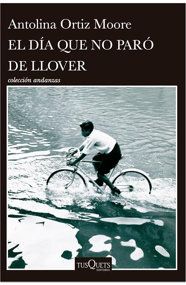 El Día Que No Paró De Llover cover image