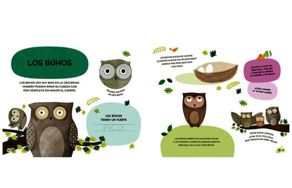 Abremente: Animales del bosque. Para escribir, borrar y escuchar